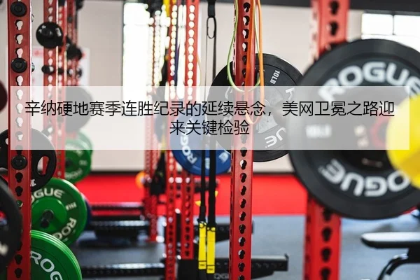 xin-na-ying-di-sai-ji-lian-sheng-ji-lu-de-yan-xu-xuan-nian-mei-wang-wei-mian-zhi-lu-ying-lai-guan-jian-jian-yan-2-313.jpg